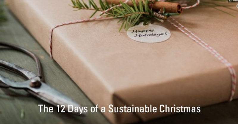 The 12 Days of a Sustainable Christmas